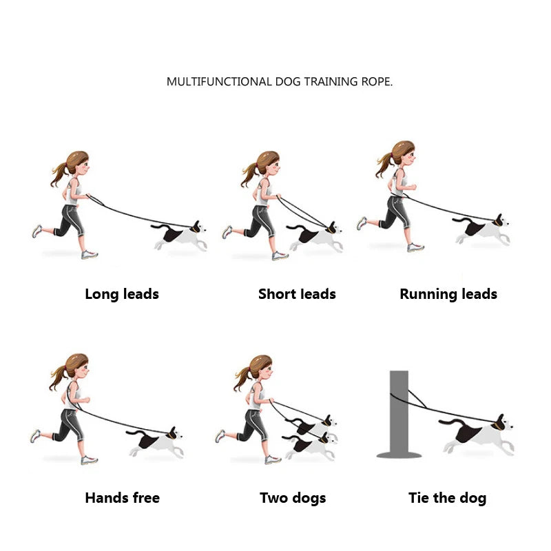 Paws Free Doggy Leash-Macaron